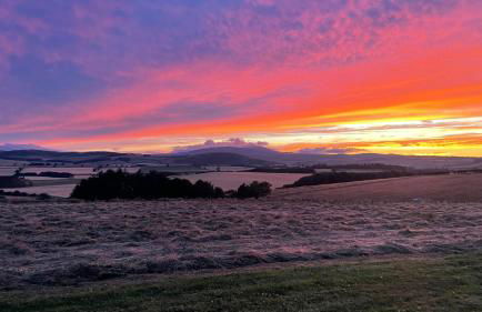 The Roundhouses - Foto 6