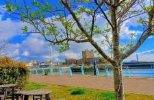 Charming Mill Cottage Carrickfergus - Foto 44