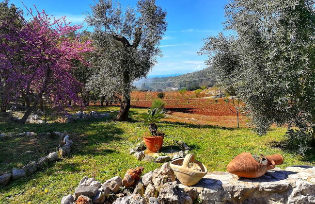 Villa Cycas Relaxation in Nature - Foto 28