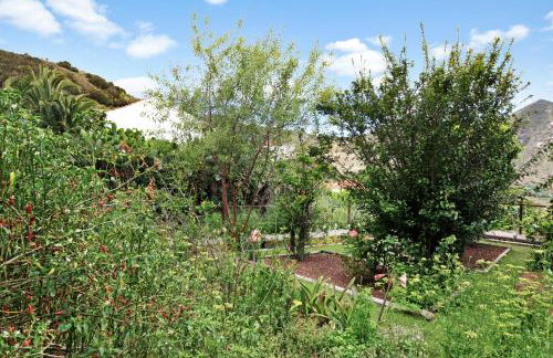 El Portillo 1 - Foto 27