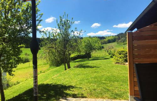 Waldhaus-Vulkaneifel - Foto 36