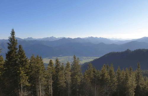 SEINZ Tiny House Natururlaub - Foto 22