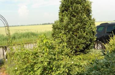 Campen Cottage - Photo 44