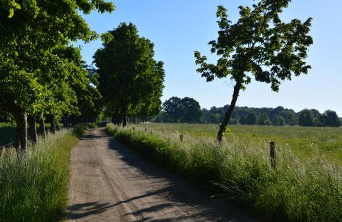 Ferienappartements "Landromantik" - Foto 59