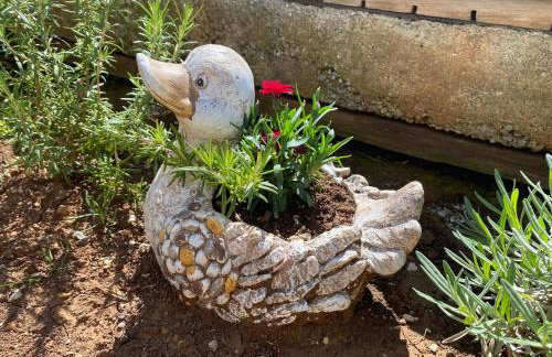 Apartmani Smokovo - Foto 51