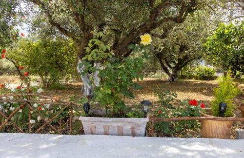 SEA & OLIVES HOUSE - Photo 30