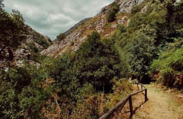 Casa el Fanoso - Foto 34