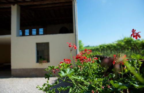 Agriturismo Albarello - Foto 11