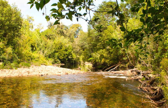 Randonnée dans le Parc National Alerce Andino - Photo 6