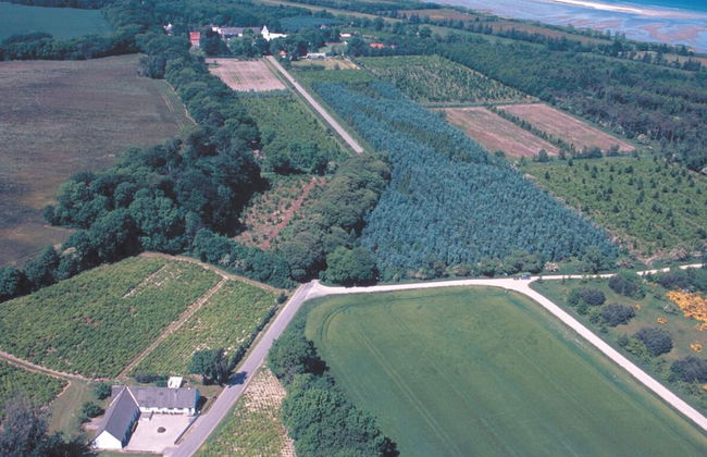 14 Person Holiday Home in Orsted-by Traum - Foto 37