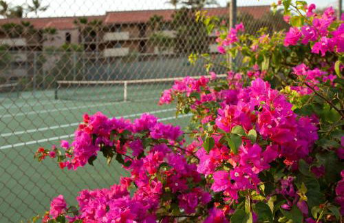 Maui Vista – Maui Condo & Home - Foto 10