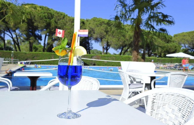 New Apartment in Baia Domzia Near the sea - Photo 10