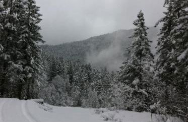 Alpine Blue Apartments - Foto 20