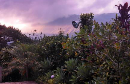 Casa de Araras - Foto 74