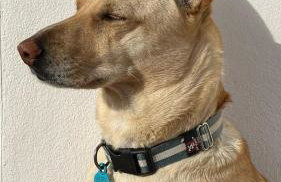 La colina buena - cosy casita for nature lovers - Foto 35