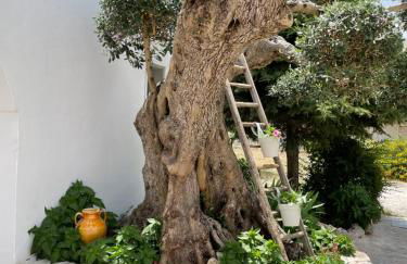 Il trullo di nonno Licchio - Foto 37