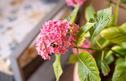 Agriturismo "Le Giustizie" - Foto 35