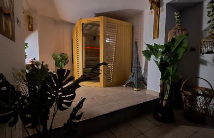 Perle d'eau-Love Room-Jacuzzi-Sauna-Proche Montbéliard et Belfort - Foto 79