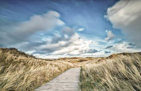 Dünenklause Düne 2 - Foto 13