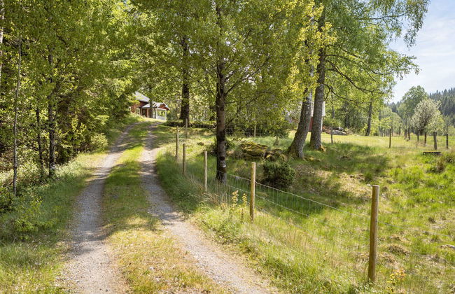 Måbäcken - Foto 22