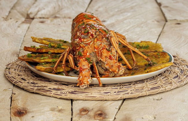 Morena Beach - Foto 18