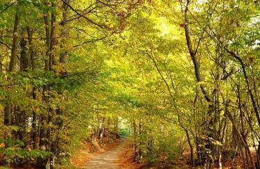 Siedlisko pod Aniołem - Foto 64