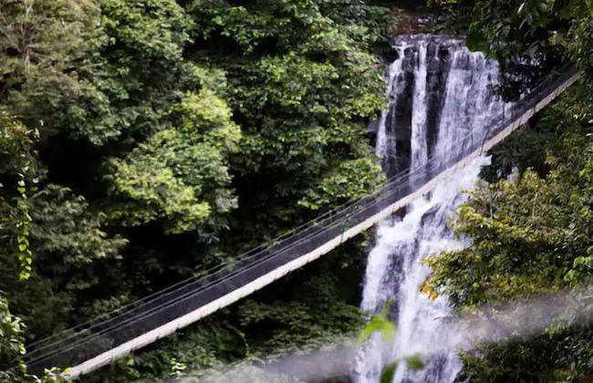 Pura Natura Lodge Arroyo - Foto 38