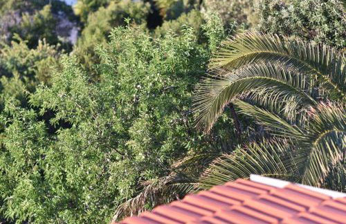 Apartmani Marko - Foto 5