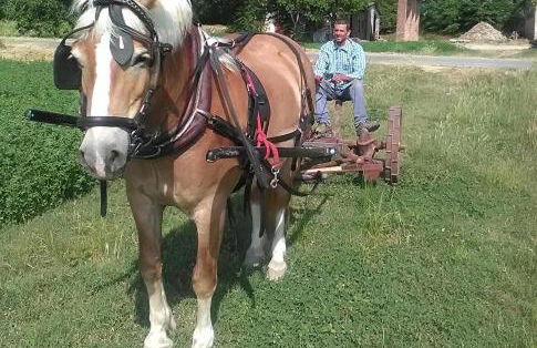 All'Antica Ruggine - Photo 41