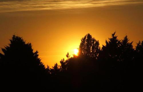 Cottage in Les Eyzies-De-Tayac-Sireuil with pool - Photo 6
