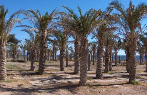 Golf y playa junto al Cabo de Gata - Foto 40