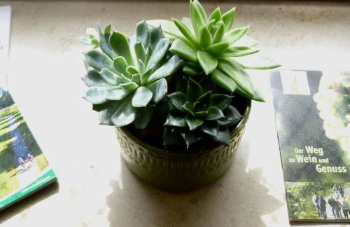 Nostalgie erleben im historischen Turmwächterhaus - Foto 6