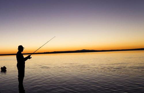 Equestrian Retreat - Foto 69