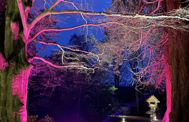 1-bed Cabin, 2 Adults, Outdoor Bath & Wood Burner - Photo 16