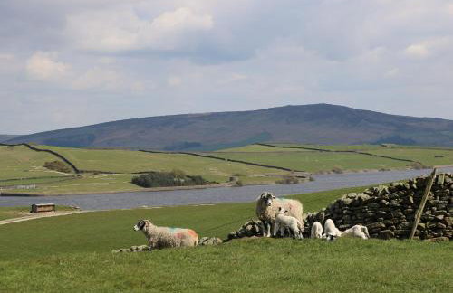 Johns Cottage - Photo 53