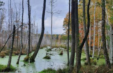 Zaciszne SPA - Foto 36