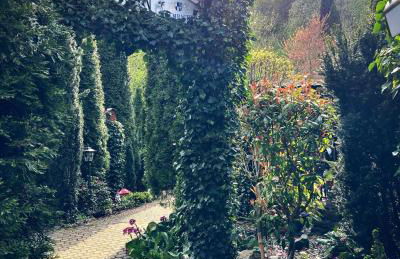 Gemuetliche-Ferienwohnung-Nr-4-im-Harz-fuer-2-Personen - Foto 9