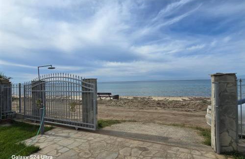 Athenas Vila - Foto 22