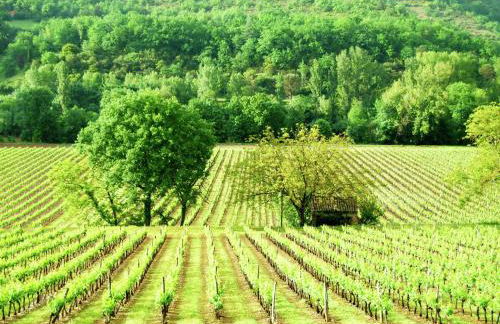 Cottage in Vézac near Forest and Lake - Foto 26