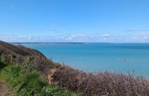 Appart vue mer-au pied du chemin de randonnée " Bassan" - Foto 14
