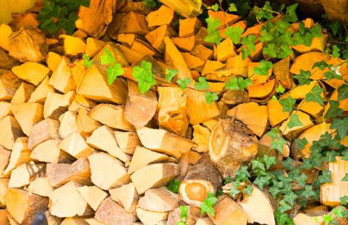 Holzhaus Hubertus mit Sauna und Kamin - Foto 37