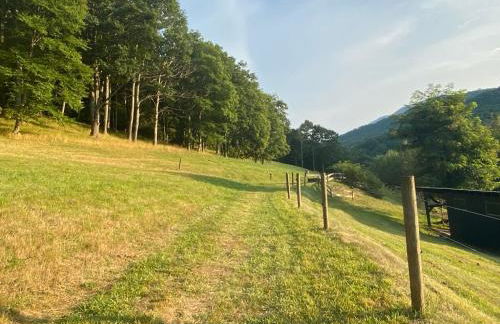 Bluff View Farm - Foto 46