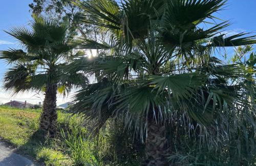 Escapada amarela SPA et détente - Foto 22