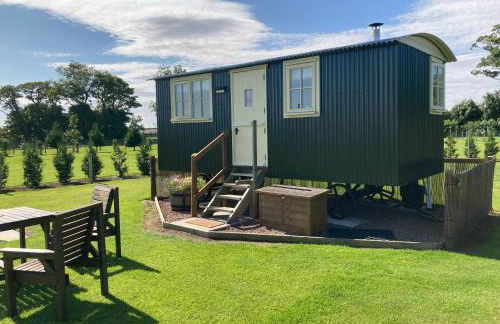 The Hawthorn Shepherds Hut - Photo 4