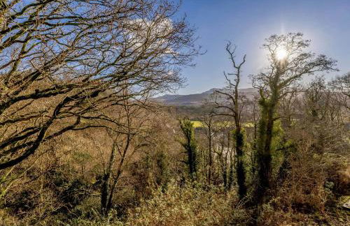 3 Bed in Llanelltyd 90805 - Foto 36