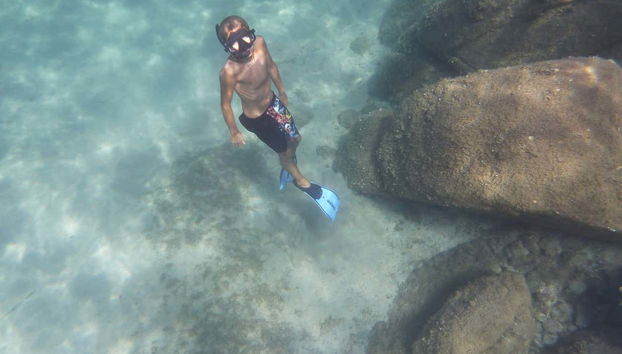 Un niño sumergiéndose para descubrir el fondo marino