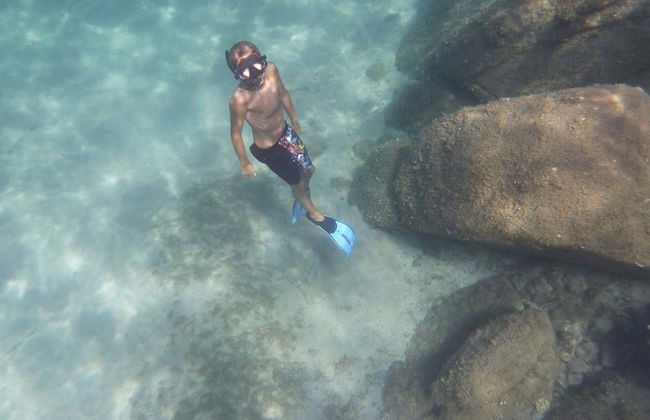 Snorkel na Área Marinha Protegida de Tavolara - Foto 5