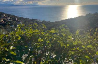 Apollo Romantic Sea View Villa - Photo 53