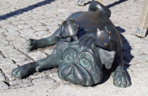 Holiday Home Fh Molkenberg by Interhome - Foto 34