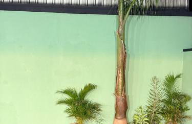 Casa de Veraneio 3 quartos com Ar e mais de 20 camas para grupos e Próximo ao Paraguai - Foto 59